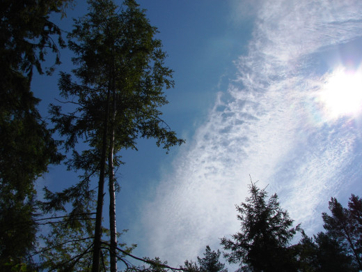 25854 (a): :1600x1200